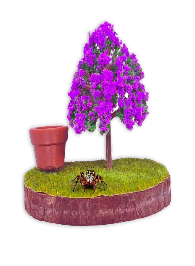 Daerky Jumping Spider Wall Bracket - Magnetically Concealed Habitat With Handmade Climbing and Feeding Platform - Enclosure Accessory for Small Spiders - Image 1